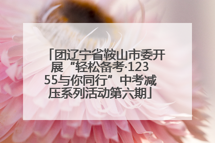 团辽宁省鞍山市委开展“轻松备考·12355与你同行”中考减压系列活动第六期