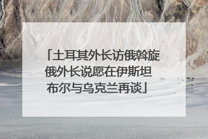 土耳其外长访俄斡旋 俄外长说愿在伊斯坦布尔与乌克兰再谈