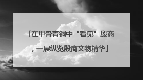 在甲骨青铜中“看见”殷商，一展纵览殷商文物精华