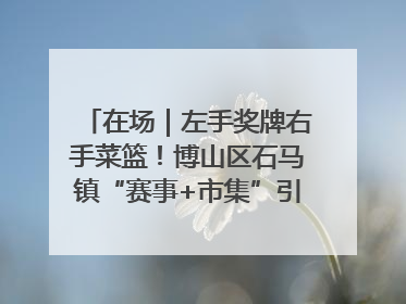 在场｜左手奖牌右手菜篮！博山区石马镇“赛事+市集”引燃周末经济