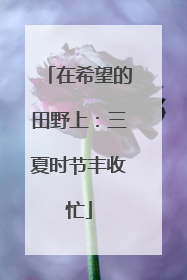 在希望的田野上：三夏时节丰收忙