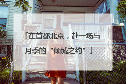 在首都北京，赴一场与月季的“倾城之约”