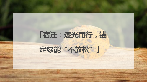 宿迁：逐光而行，锚定绿能“不放松”