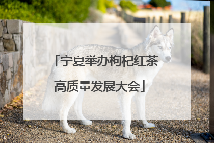 宁夏举办枸杞红茶高质量发展大会