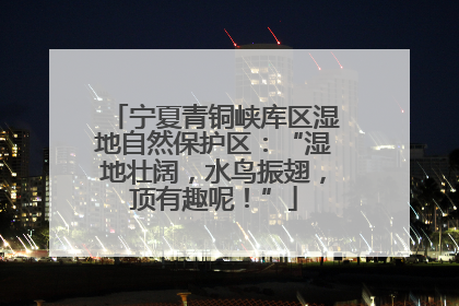 宁夏青铜峡库区湿地自然保护区：“湿地壮阔，水鸟振翅，顶有趣呢！”