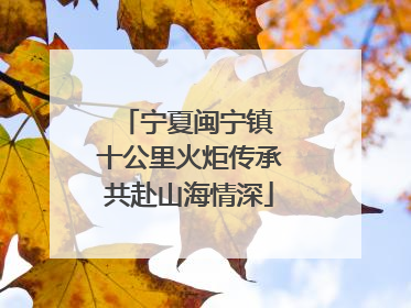 宁夏闽宁镇 十公里火炬传承共赴山海情深
