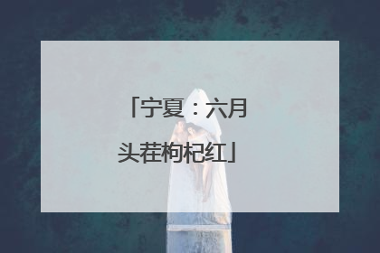 宁夏：六月头茬枸杞红