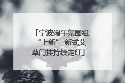 宁波端午氛围组“上新” 新式艾草门挂持续走红