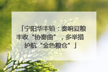宁阳华丰镇：奏响夏粮丰收“协奏曲”，多举措护航“金色粮仓”