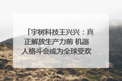 宇树科技王兴兴：真正解放生产力前 机器人格斗会成为全球受欢迎的赛事｜科技观察