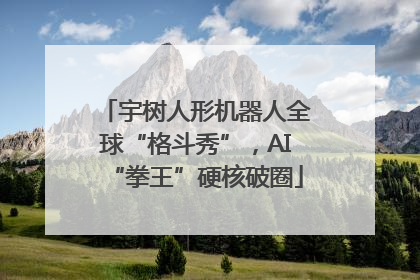 宇树人形机器人全球“格斗秀”，AI“拳王”硬核破圈