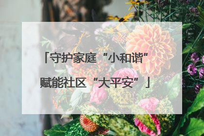 守护家庭“小和谐” 赋能社区“大平安”