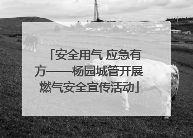 安全用气 应急有方——杨园城管开展燃气安全宣传活动