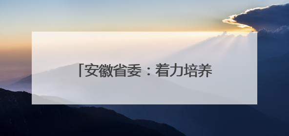 安徽省委：着力培养选拔优秀年轻干部