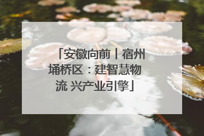 安徽向前丨宿州埇桥区：建智慧物流 兴产业引擎