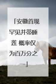 安徽首现罕见并蒂睡莲 概率仅为百万分之一