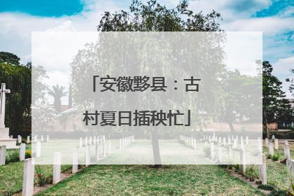 安徽黟县：古村夏日插秧忙