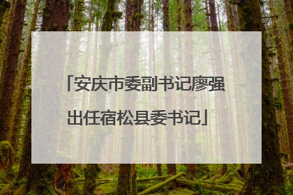 安庆市委副书记廖强出任宿松县委书记