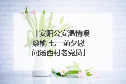 安阳公安温情暖桑榆 七一前夕慰问汤西村老党员