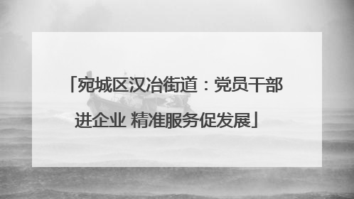 宛城区汉冶街道：党员干部进企业 精准服务促发展