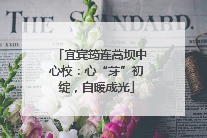 宜宾筠连蒿坝中心校：心“芽”初绽，自暖成光