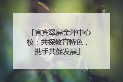 宜宾翠屏金坪中心校：共探教育特色，携手共促发展