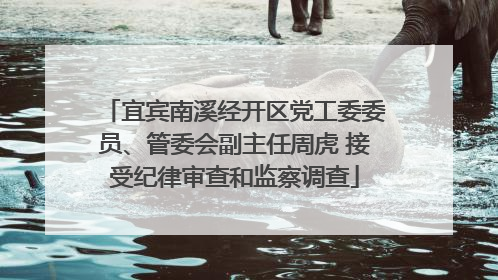 宜宾南溪经开区党工委委员、管委会副主任周虎 接受纪律审查和监察调查