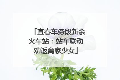 宜春车务段新余火车站：站车联动劝返离家少女