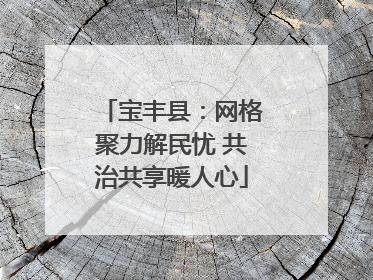 宝丰县：网格聚力解民忧 共治共享暖人心