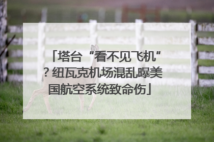塔台“看不见飞机”？纽瓦克机场混乱曝美国航空系统致命伤