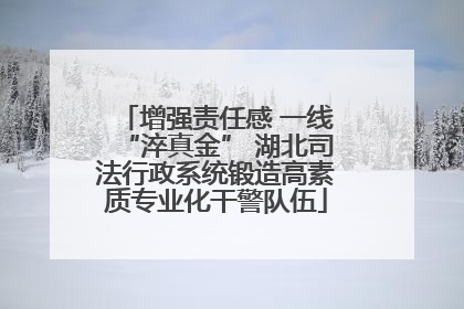 增强责任感 一线“淬真金” 湖北司法行政系统锻造高素质专业化干警队伍