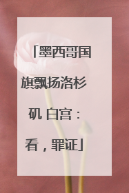 墨西哥国旗飘扬洛杉矶 白宫：看，罪证