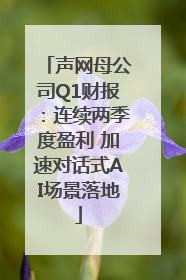声网母公司Q1财报：连续两季度盈利 加速对话式AI场景落地