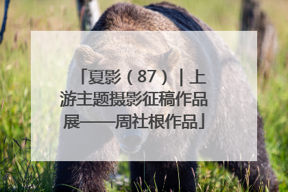 夏影（87）｜上游主题摄影征稿作品展——周社根作品