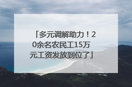 多元调解助力！20余名农民工15万元工资发放到位了