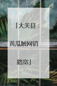 大关县：黄瓜触网销路宽