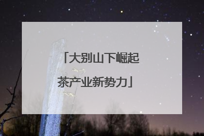 大别山下崛起茶产业新势力