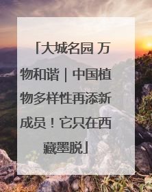 大城名园 万物和谐｜中国植物多样性再添新成员！它只在西藏墨脱