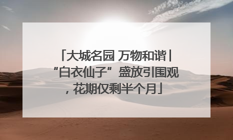 大城名园 万物和谐│“白衣仙子”盛放引围观，花期仅剩半个月