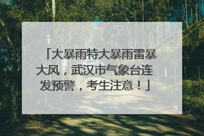 大暴雨特大暴雨雷暴大风，武汉市气象台连发预警，考生注意！