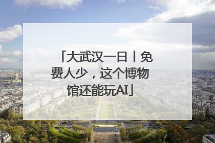 大武汉一日丨免费人少，这个博物馆还能玩AI