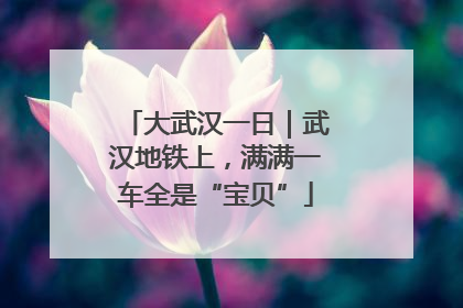 大武汉一日｜武汉地铁上，满满一车全是“宝贝”