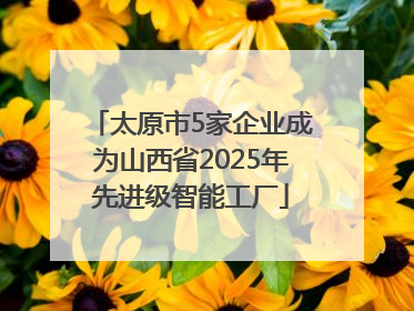 太原市5家企业成为山西省2025年先进级智能工厂
