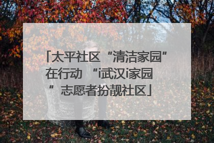 太平社区“清洁家园”在行动 “i武汉i家园”志愿者扮靓社区