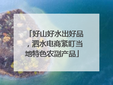 好山好水出好品，泗水电商紧盯当地特色农副产品