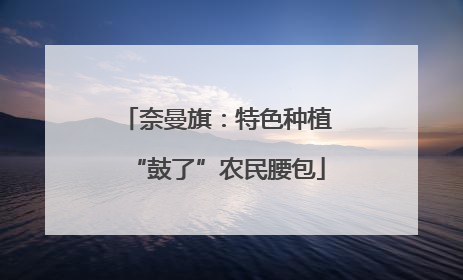 奈曼旗：特色种植“鼓了”农民腰包