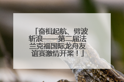 奋楫起航、劈波斩浪——第二届法兰克福国际龙舟友谊赛激情开桨！
