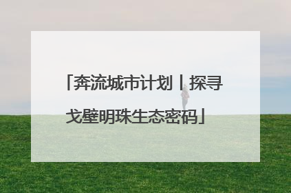 奔流城市计划丨探寻戈壁明珠生态密码