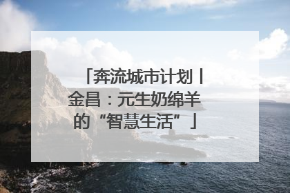 奔流城市计划丨金昌：元生奶绵羊的“智慧生活”