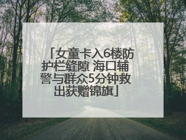 女童卡入6楼防护栏缝隙 海口辅警与群众5分钟救出获赠锦旗